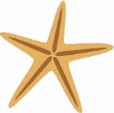 ocncdngb.jpg (13126 bytes)