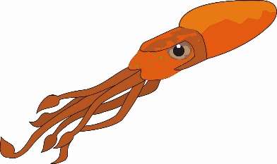 squid44.jpg (9515 bytes)