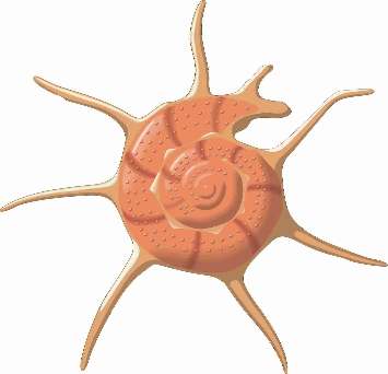 yoka1.jpg (10359 bytes)